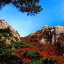 속리산 - 성남시 중원구 시민로117번길 2 | 속리산