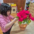 금마초등학교병설유치원 이미지