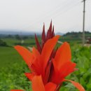 하원농장 이미지