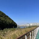 도원공원 농구장 이미지