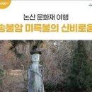 충남 논산 사찰 여행 신비스러운 송불암 미륵불 이미지