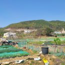 시골풍경 이미지