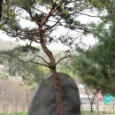 원미공원 이미지