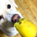 설구하우스 이미지