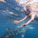 금마길 | 전주프리다이빙 세부여행 가기 전 스노클링 교육 폴인다이빙