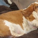 우리아이약국 이미지