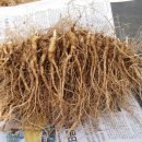 으뜸2농장 이미지