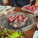 중리애견센터 다이닝코드