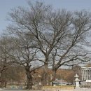 순창가녘 이미지