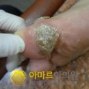 송미사 - 서귀포시 신영로 122 | 송미사