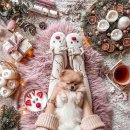 에코동물병원 이미지