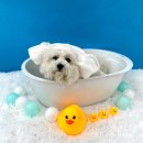 선우유치원 | 눈 깜빡 하니까 2월이올시다!