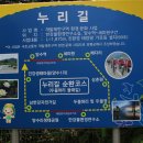 하루루 이미지