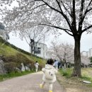 대방평생교육센터 이미지