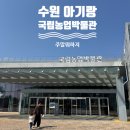 농업기술센터첨단농업관 | 수원 국립농업박물관 6살 아기랑 관람 후기