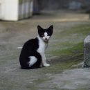 베토퀴놀코리아(주) 이미지