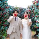 스튜디오;꽃들 | 결혼준비 스튜디오, 메이스튜디오 동백꽃 배경 후기