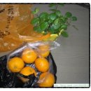 영관농장 이미지