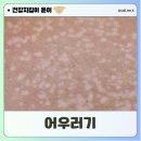 어우러기 이미지