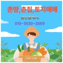 본토공인중개사사무소 이미지