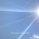 한국체대 복싱클럽 이미지