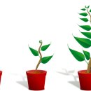 마디추한의원 이미지