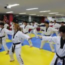 동탄MTA태권도장 이미지