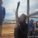 아재클럽낚시카페 | 보라카이 액티비티 보라아재 호핑투어 추천 내돈내산 찐후기