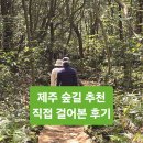 만남어린이공원 공중화장실 | 제주곶자왈도립공원 소요시간 코스 입장료 주차 총정리(테우리길 후기)