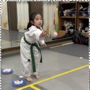 인성 태권 스쿨 이미지