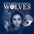 Selena Gomez X Marshmello (셀레나 고메즈, DJ 마쉬멜로) Wolves 이미지