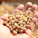 대원농장 이미지