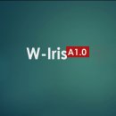 W-Iris [Class-S] 특허 검색 및 무제한 다운로드 프로그램( W-Iris/S: MS-Word 용 ) 이미지