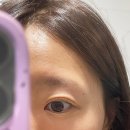 권스시 - 창원시 마산합포구 천하장사로 92 | 마곡 속눈썹 연장 / 권스뷰티 플랫모 연장 후기