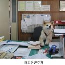 웃으면복이와요 이미지