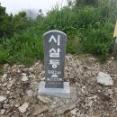수골 농장 Daum카페