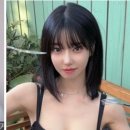 법무법인세연