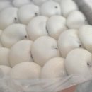 달잔기지떡