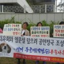 둥글이네 신문고뉴스