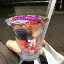 현정꿈 | 어 나 현정이고, 돌아왔고, 3월 일기부터 썼어... 근데 그거 알아? (부제: 나의 6번째 교토)