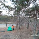 나주호산림욕장 Daum카페