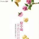 놀부 부대찌개 이미지