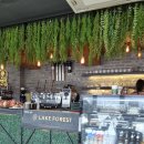 레이크포레스트&백운메밀 이미지