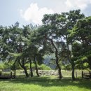 솔숲유원지 이미지