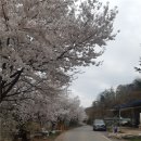 제천 청풍호 토지 매매 약 1만 500평형, 도로 접한 생산관리지역 이미지