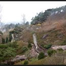 숲쟁이꽃동산 이미지