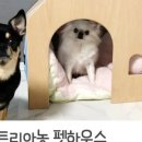 와와멍# 이미지