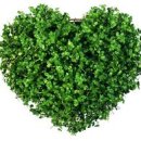 뜰에샘의원 이미지