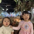 쿠펫 | [육아] 카페거부기&쿠펫 판교점 아이와 함께 솔직 후기