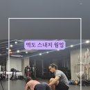 파텔라 이미지
